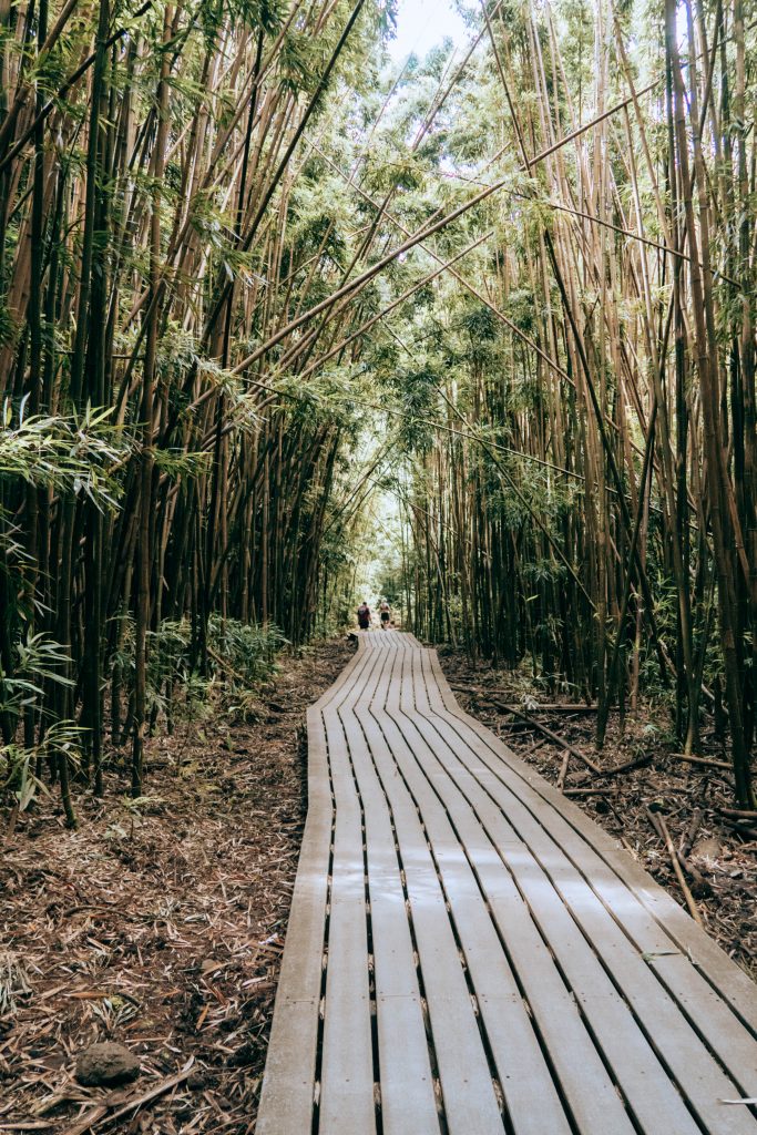 Pipiwai Trail - hiking in Maui