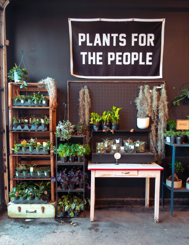 Plant shop in Inglewood Calgary