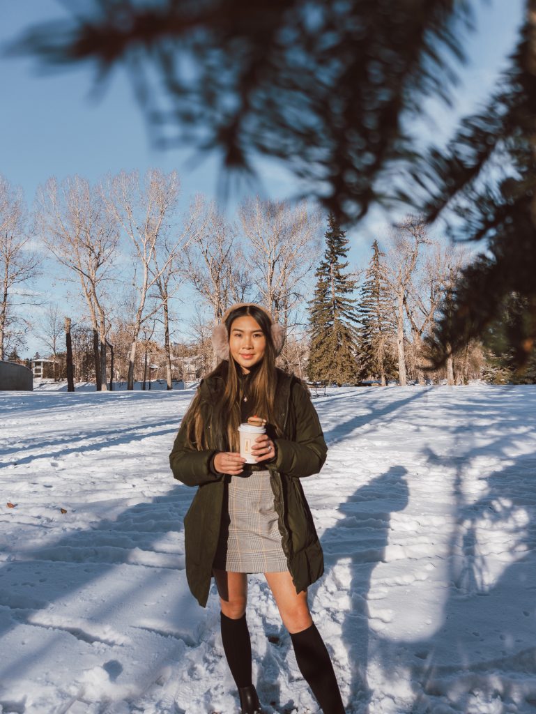 Prince Island Park in the winter season in Calgary