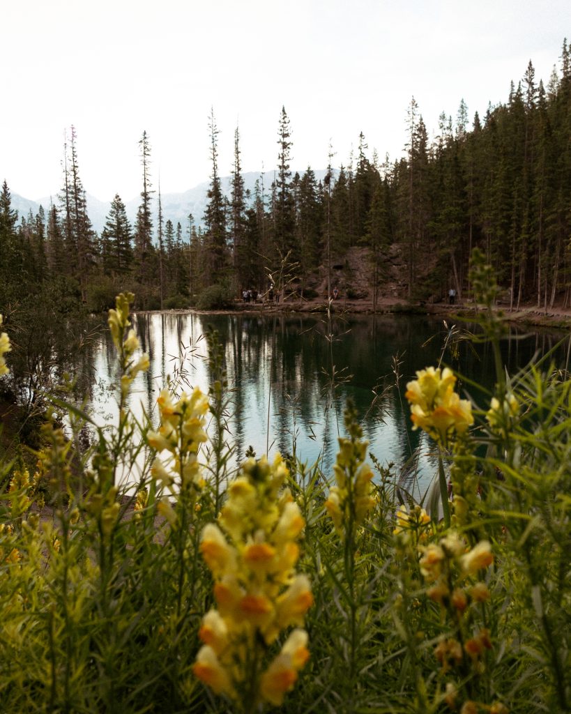 Grassi Lakes Trail: best beginner hike in Canmore, Alberta - Stephi Mi