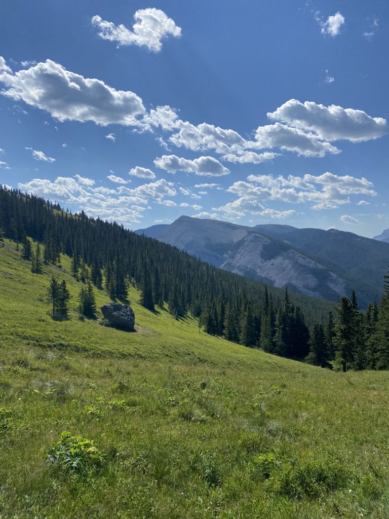 Powderface trail Kananaskis Country