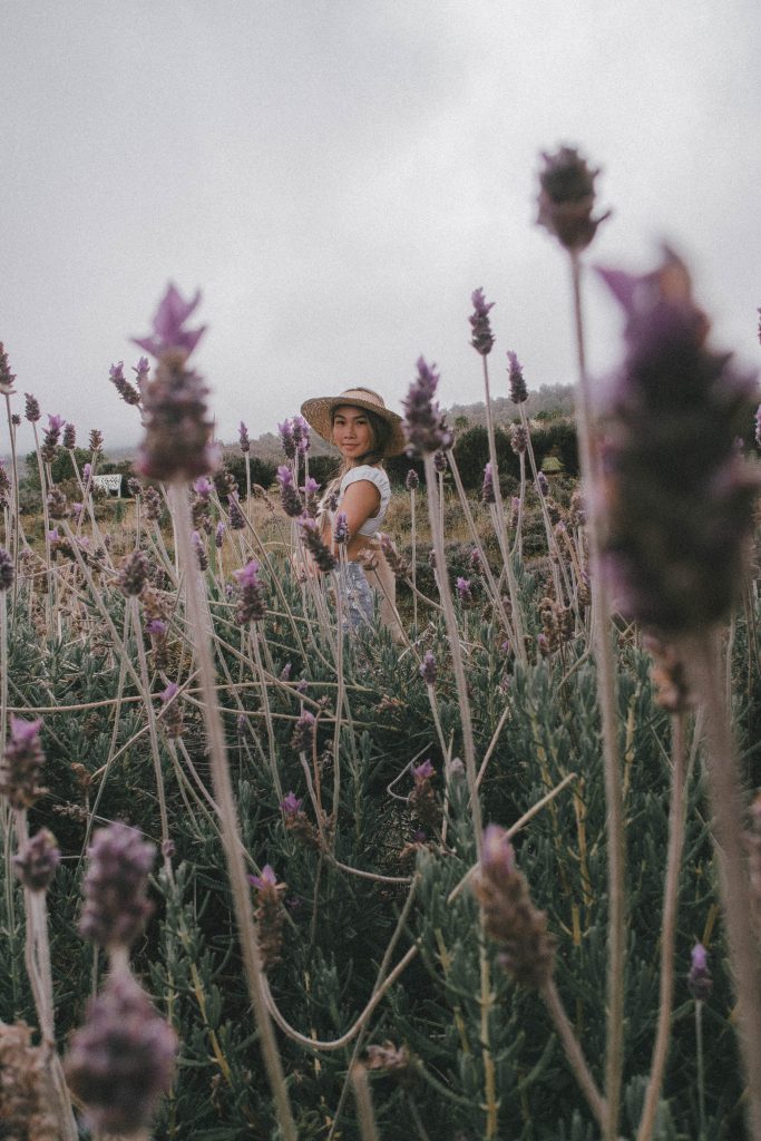 Lavender Farm in Maui