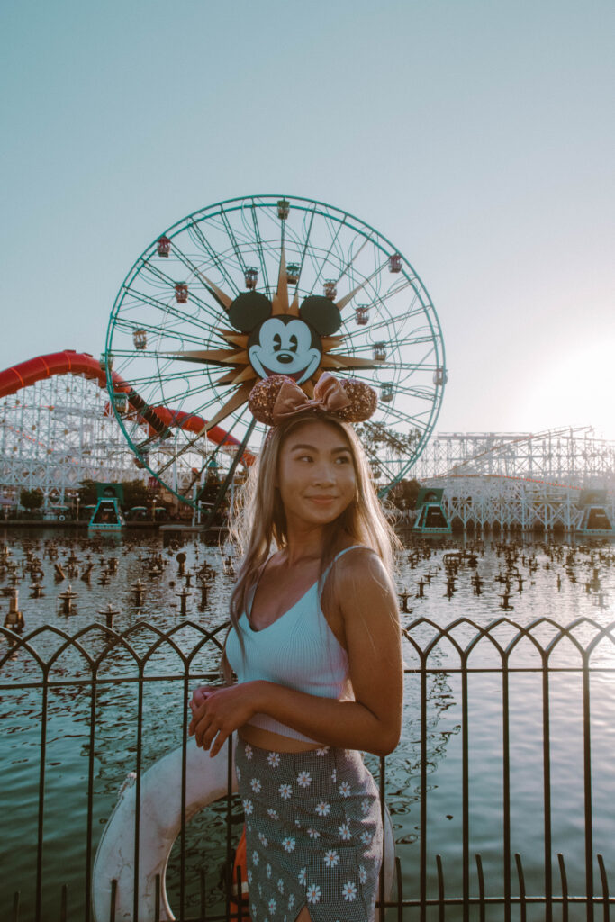 Ferris Wheel California Disneyland