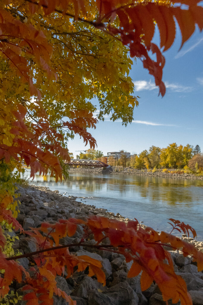 Calgary travel guide - visit Prince's Island Park in the autumn season