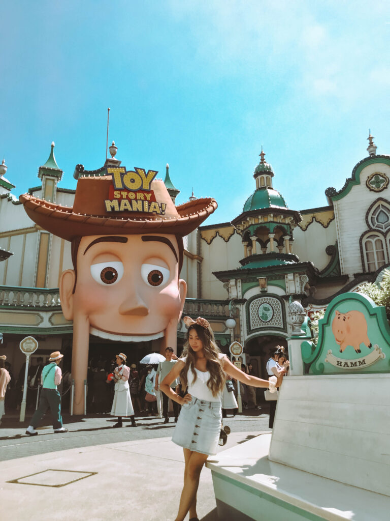 Toy Story land