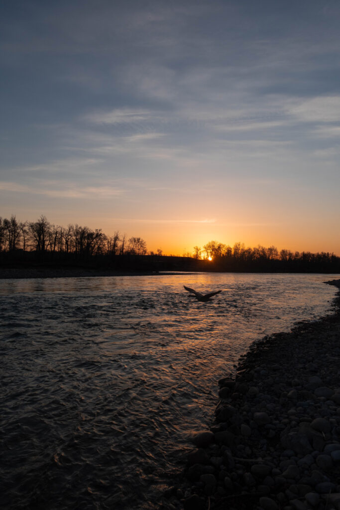 golden hour in Calgary