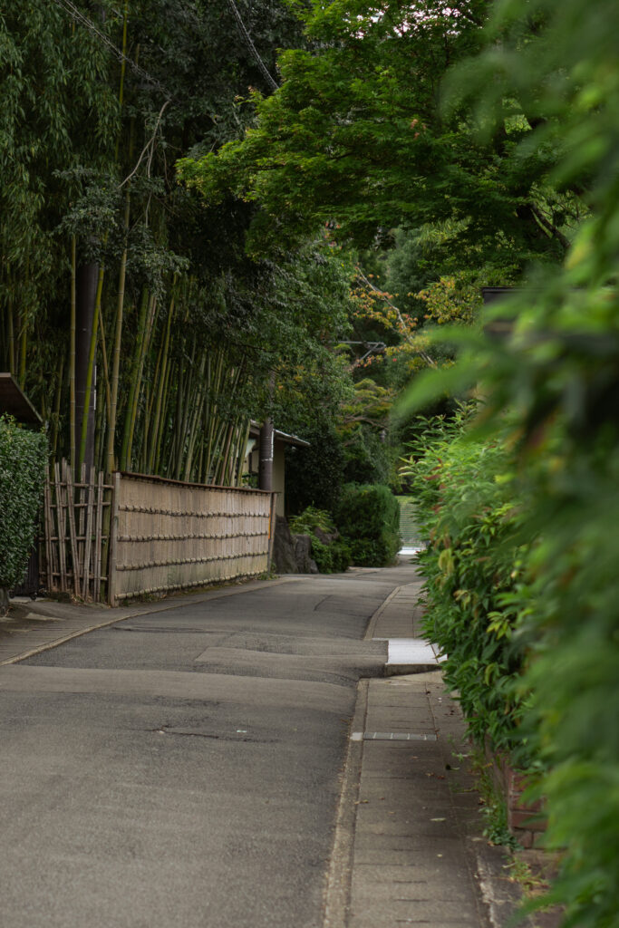 Arashiyama Bamboo Forest