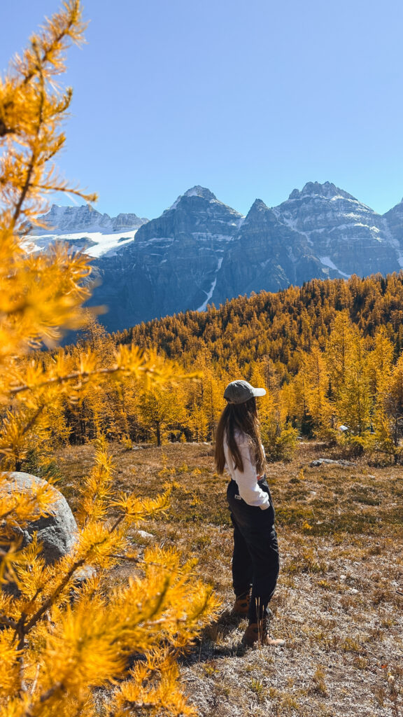 Banff Larch Valley Hike