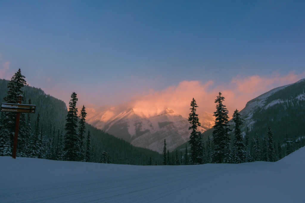 Sunshine Village Ski